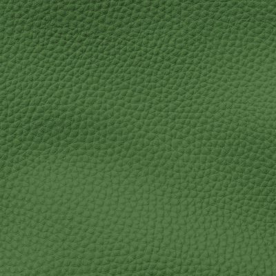 Green leather textured background illustration